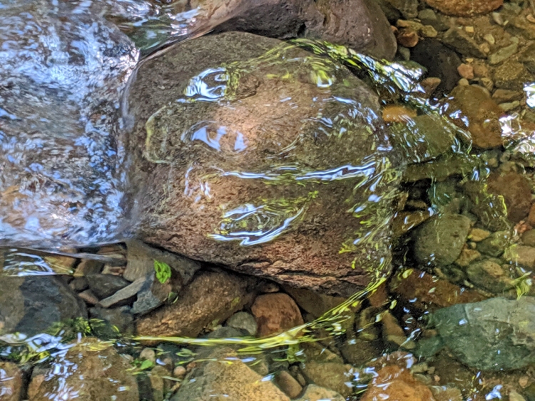 water-over-stone-hethpool-linn